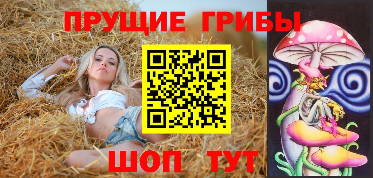 Псилоцибиновые грибы GOLDEN TEACHER Кизляр
